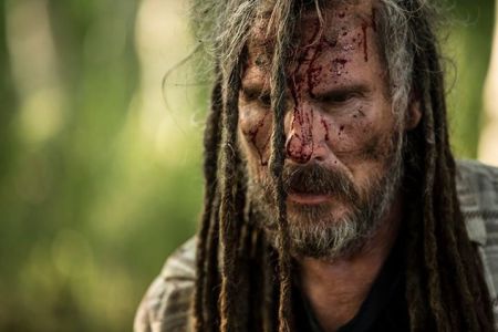 733807_504185942993603_1398622362_n