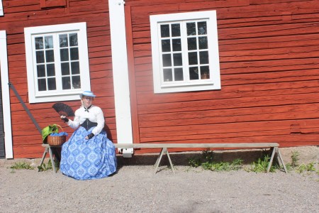 IMG_7007_zpsmror4nbk