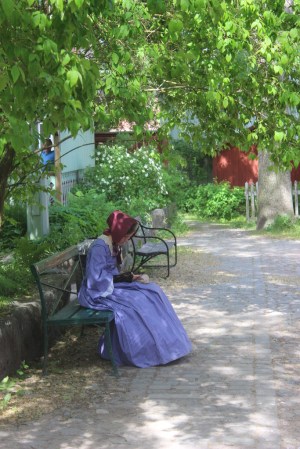 IMG_7008_zpssnolbt4j